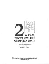 2. Cam Problemleri Sempozyumu